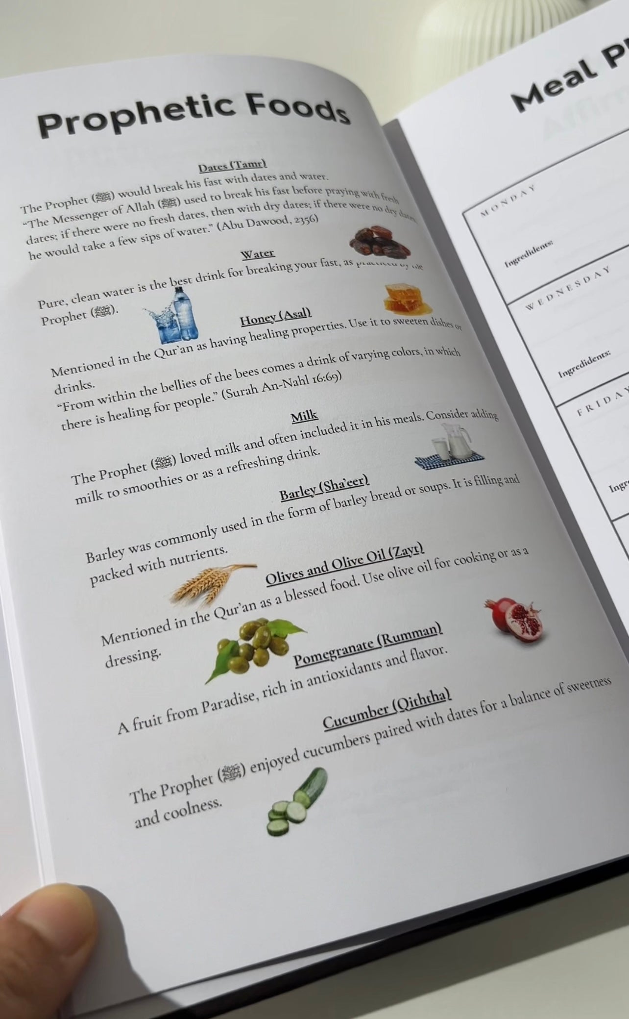 Shukr Ramadan Journal