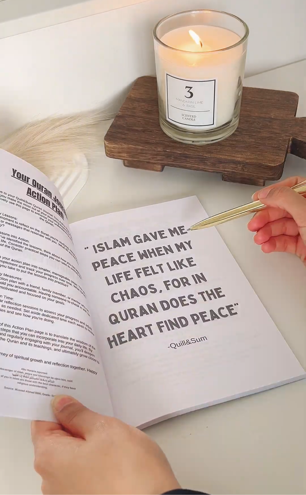 Quran Journal: Tafsir & Reflect