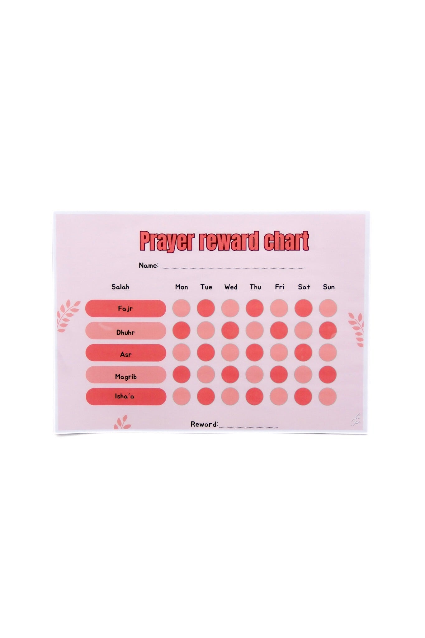 Salah Reward Chart + Dry Wipe pen